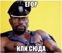 егор или сюда