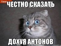 честно сказать дохуя антонов