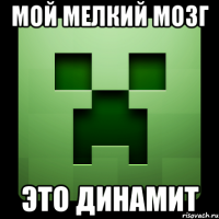 мой мелкий мозг это динамит