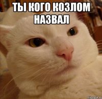 ты кого козлом назвал 