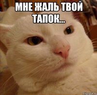 мне жаль твой тапок... 