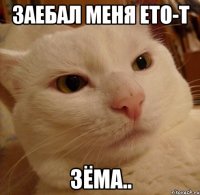 заебал меня ето-т зёма..