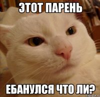 этот парень ебанулся что ли?