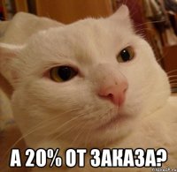  а 20% от заказа?