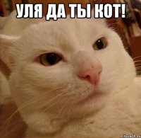 уля да ты кот! 