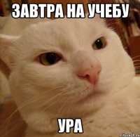 завтра на учебу ура