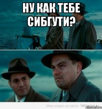 ну как тебе сибгути? 