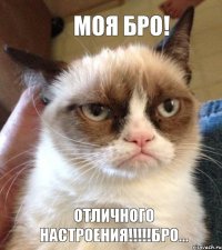 Моя бро!  отличного настроения!!!бро...