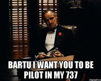  bartu i want you to be pilot in my 737