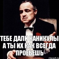 Тебе дали каникулы а ты их как всегда проебешь