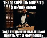 ты говоришь мне, что я не понимаю хотя ты даже не пытаешься понять, что я могу понять