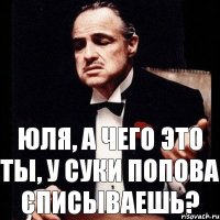 Юля, а чего это ты, у суки Попова списываешь?