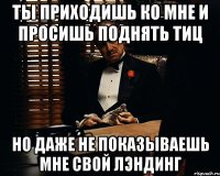 ты приходишь ко мне и просишь поднять тиц но даже не показываешь мне свой лэндинг