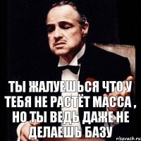 ты жалуешься что у тебя не растёт масса , но ты ведь даже не делаешь базу