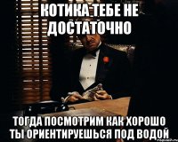 котика тебе не достаточно тогда посмотрим как хорошо ты ориентируешься под водой