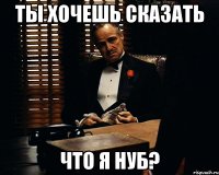 ты хочешь сказать что я нуб?