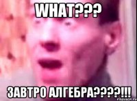 what??? завтро алгебра???!!!