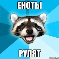 еноты рулят