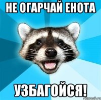 не огарчай енота узбагойся!