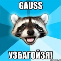 gauss узбагойзя!