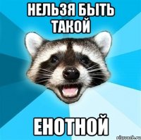 нельзя быть такой енотной