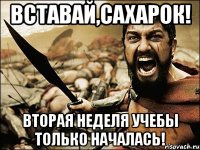 вставай,сахарок! вторая неделя учебы только началась!