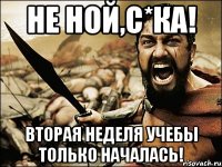 не ной,с*ка! вторая неделя учебы только началась!