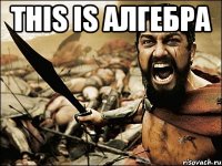 this is алгебра 