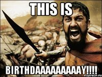 this is birthdaaaaaaaaay!!!