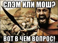 слэм или мош? вот в чем вопрос!