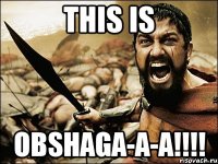 this is obshaga-a-a!!!