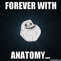 forever with anatomy...