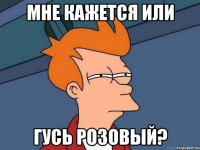 мне кажется или гусь розовый?