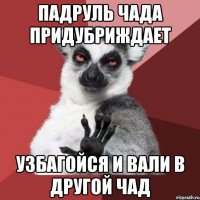 падруль чада придубриждает узбагойся и вали в другой чад