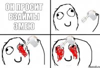 Он просит взаймы змею