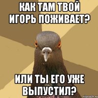 как там твой игорь поживает? или ты его уже выпустил?