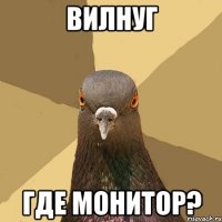 вилнуг где монитор?