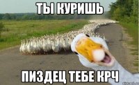 ты куришь пиздец тебе крч