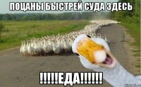 поцаны быстрей суда здесь !!!еда!!!