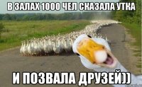 в залах 1000 чел сказала утка и позвала друзей))