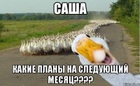 саша какие планы на следующий месяц???