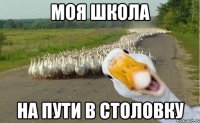 моя школа на пути в столовку