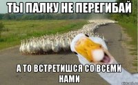 ты палку не перегибай а то встретишся со всеми нами