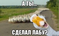 а ты... сделал лабу?