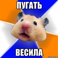 пугать весила