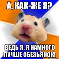 а, как-же я? ведь я, я намного лучше обезьянок!