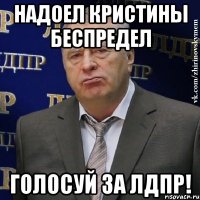 надоел кристины беспредел голосуй за лдпр!