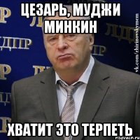 цезарь, муджи минкин хватит это терпеть