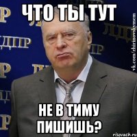 что ты тут не в тиму пишишь?