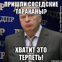 пришли соседские тараканы? хватит это терпеть!